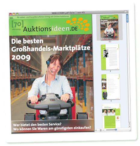 090829-auktionsideen