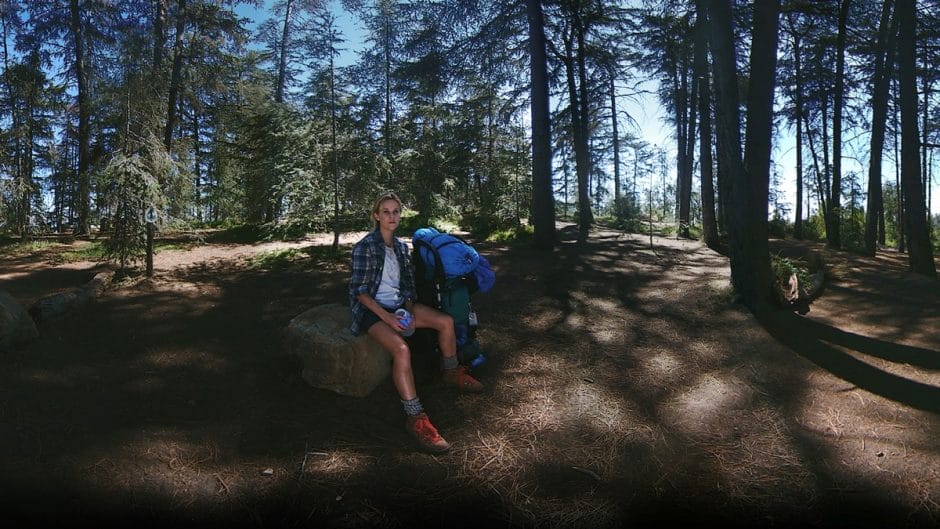 Wild – The Experience