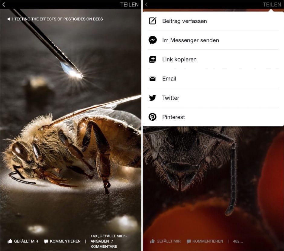 Videos lassen sich separat liken und kommentieren (links). Über das Share-Menü können die Artikel auch via Twitter und Pinterest geteilt werden (rechts).