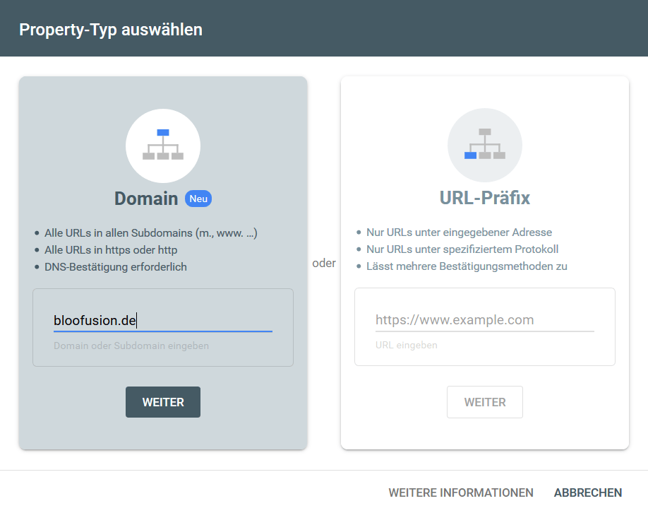 Auswahl des „Property-Typs“ in der Google Search Console.