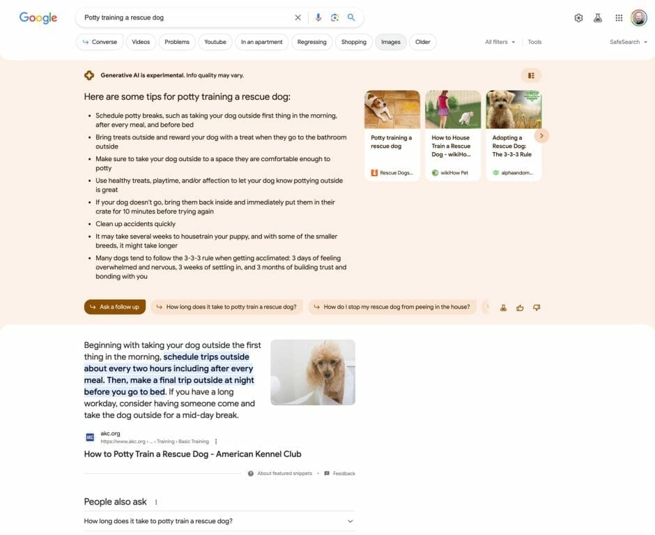 Screenshot zeigt ein Google-Suchergebnis mit einer durch KI generierten Antwort