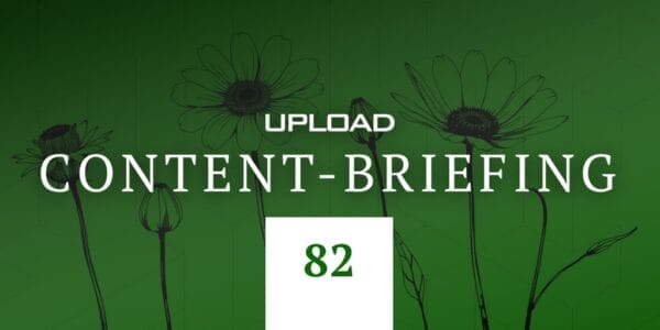 Content-Briefing